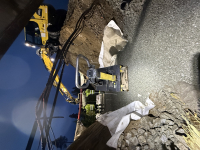 Sangelia - Bilde 10